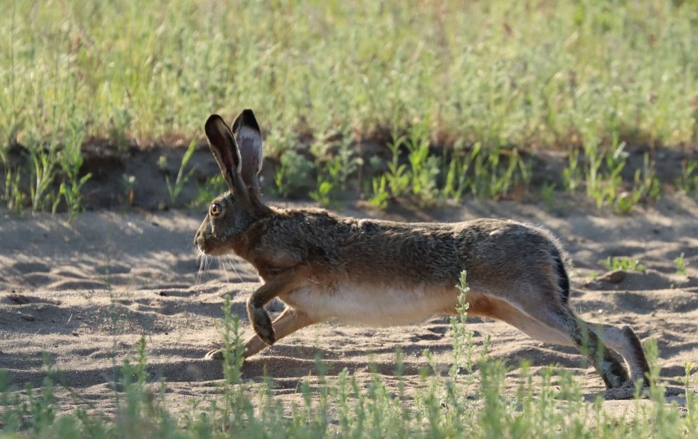 Photograph by Юлия Черкасова