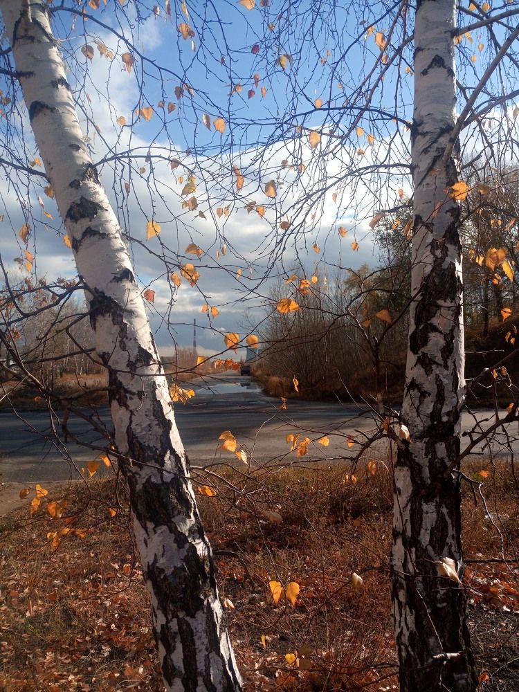 Photograph by Ирина Ерохина