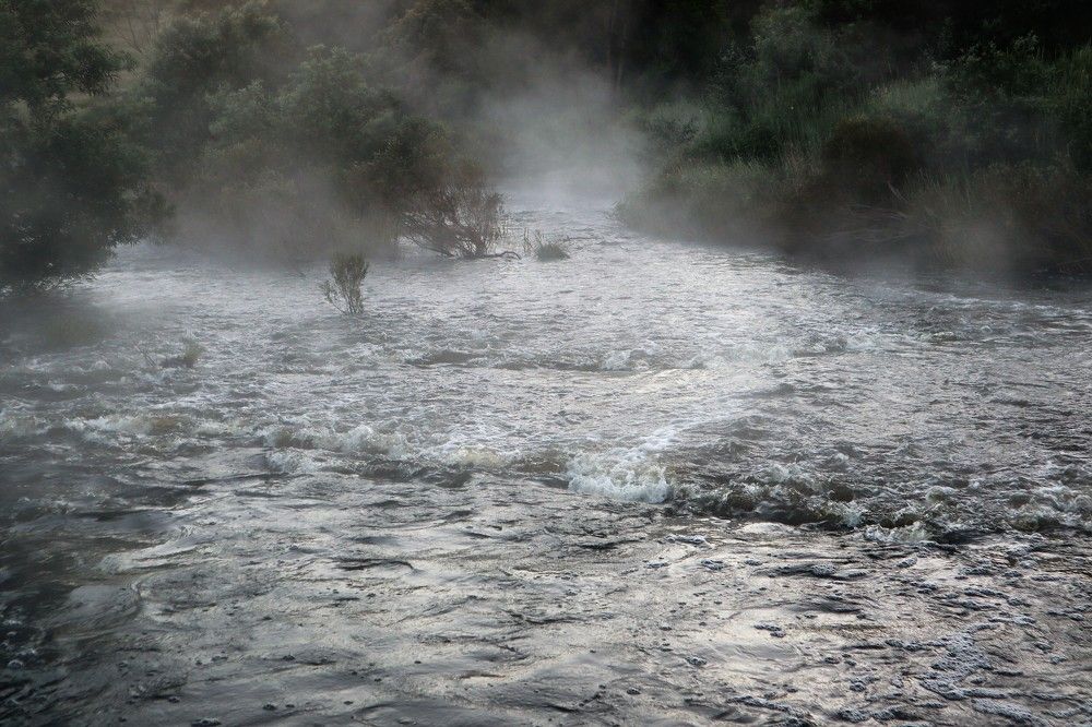 Photograph by Kirsteen Isles