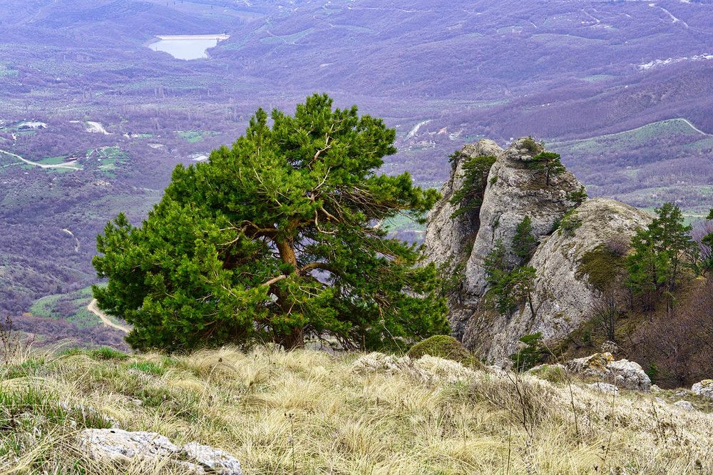 Photograph by Михаил Баевский