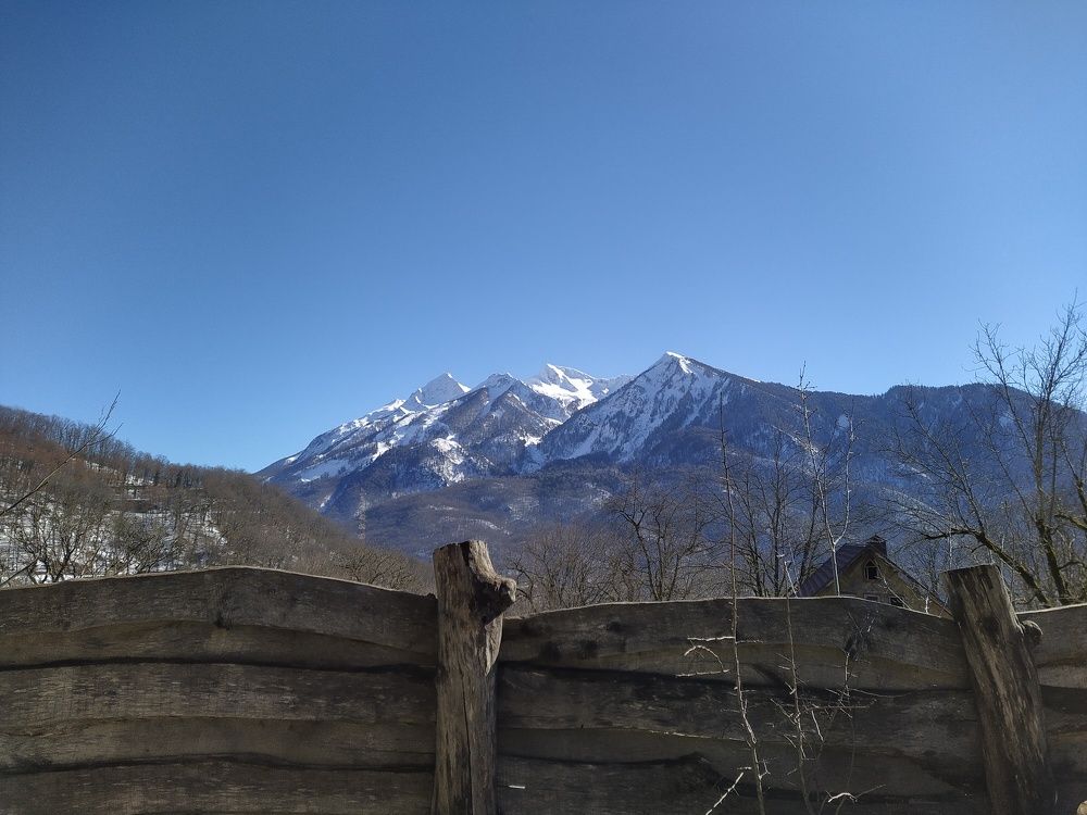 Photograph by Полина