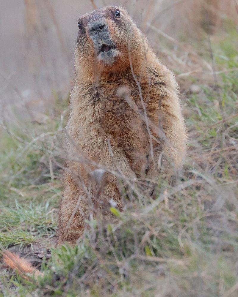 Photograph by Юлия Черкасова
