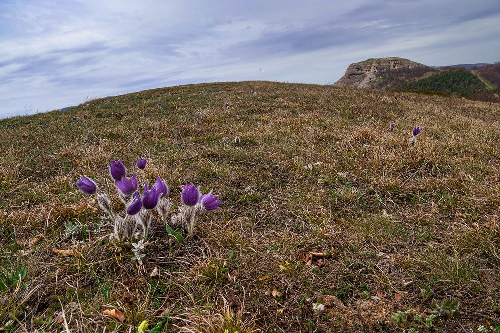 Photograph by Михаил Баевский