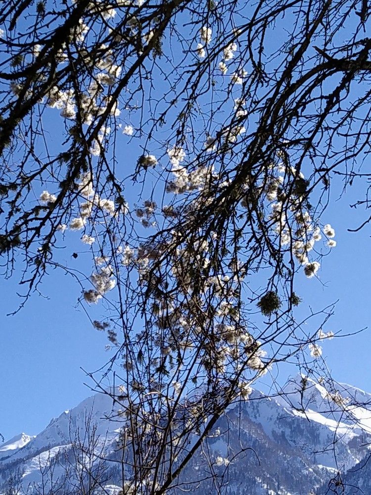 Photograph by Полина