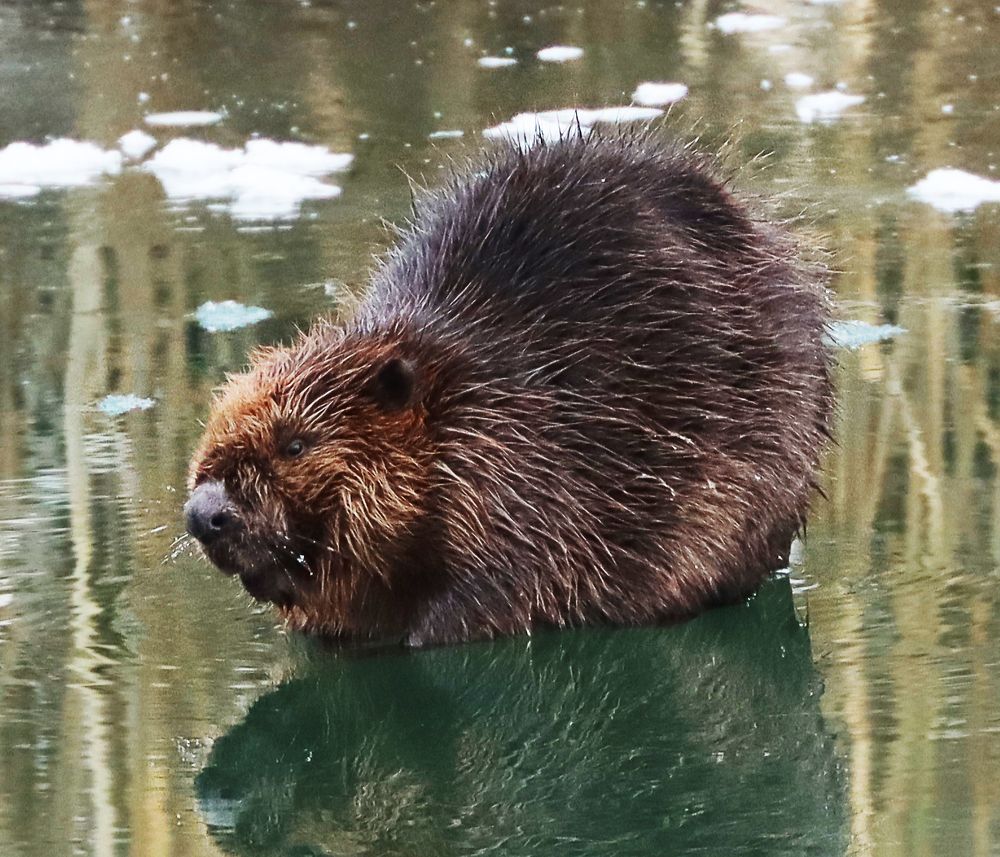 Photograph by Юлия Черкасова