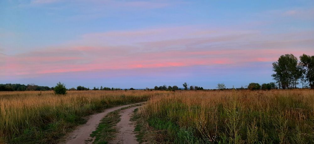 Photograph by Ksenia Vasilyeva