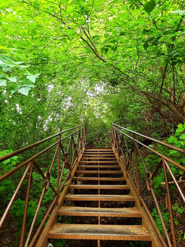 Photograph by Ksenia Vasilyeva