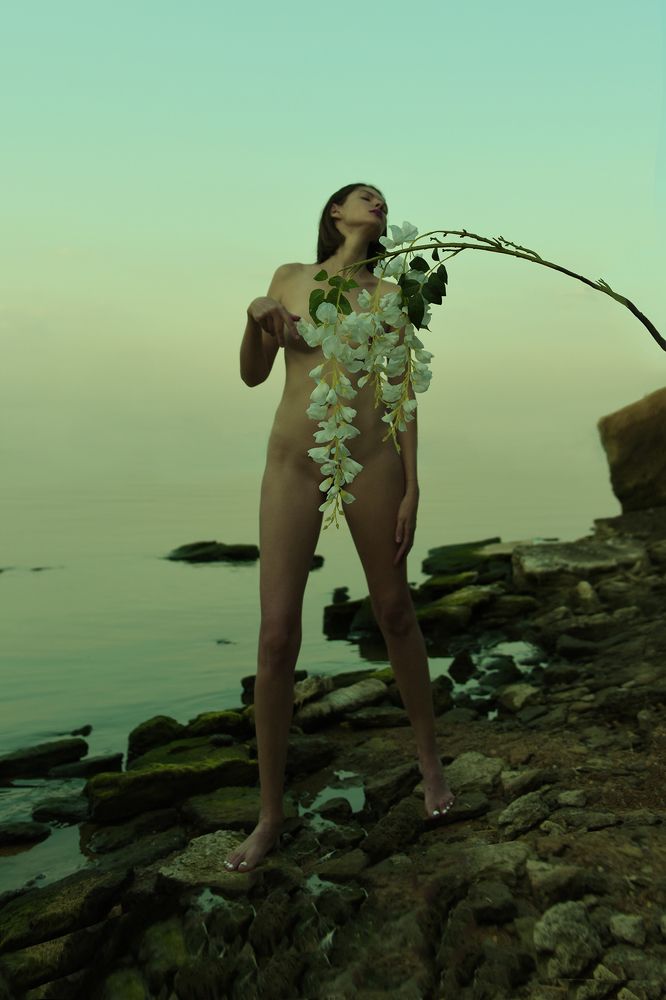 Photograph by Саша Парасич