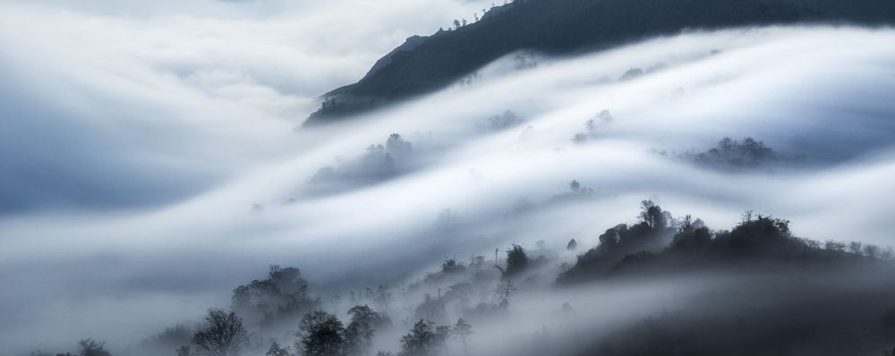 Photograph by Trieu Hung