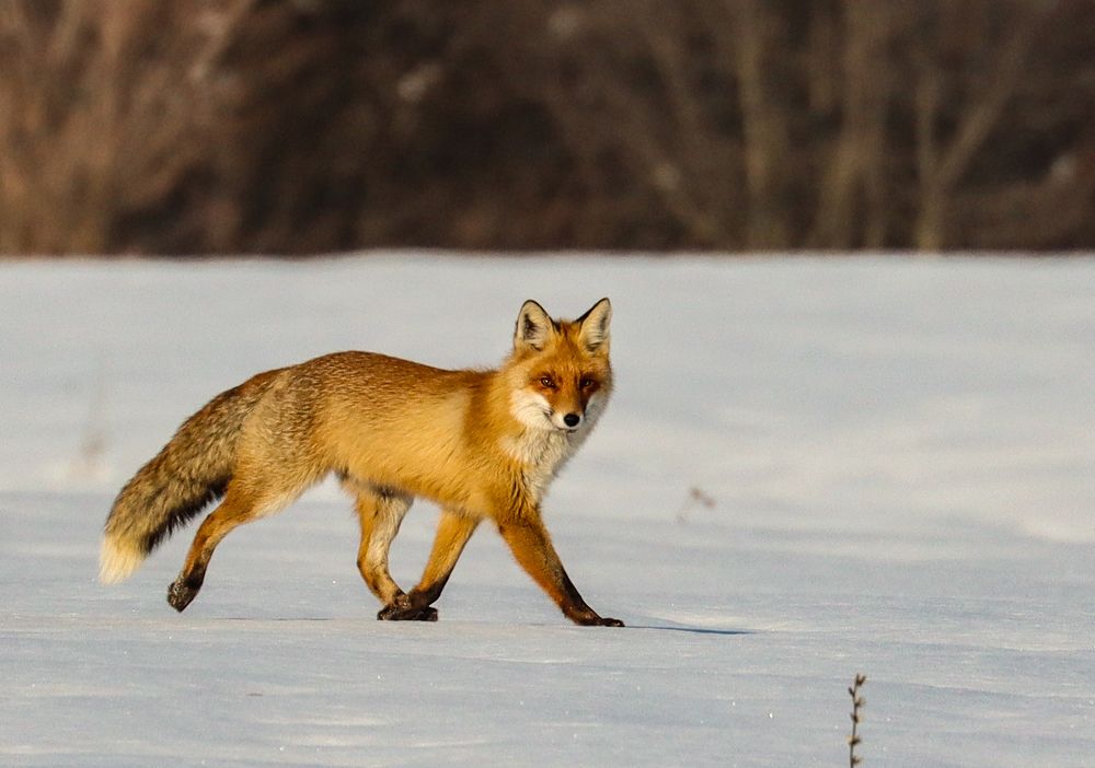 Photograph by Юлия Черкасова