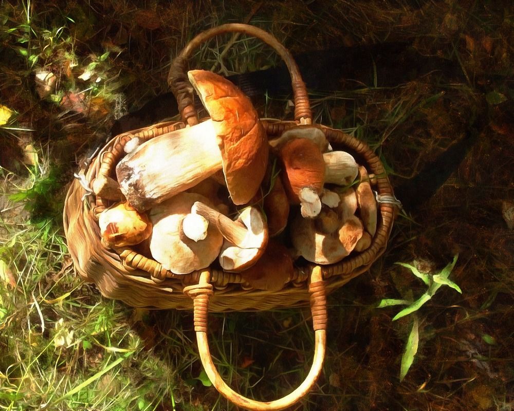 Photograph by Глеб Кузьминых