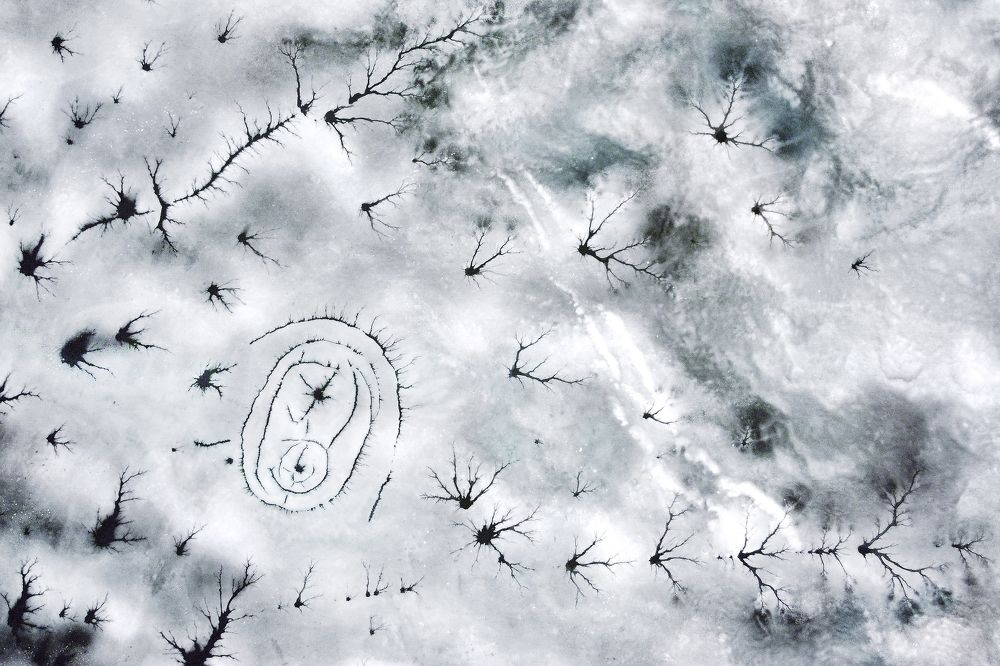 Творческий лёд - орнамент