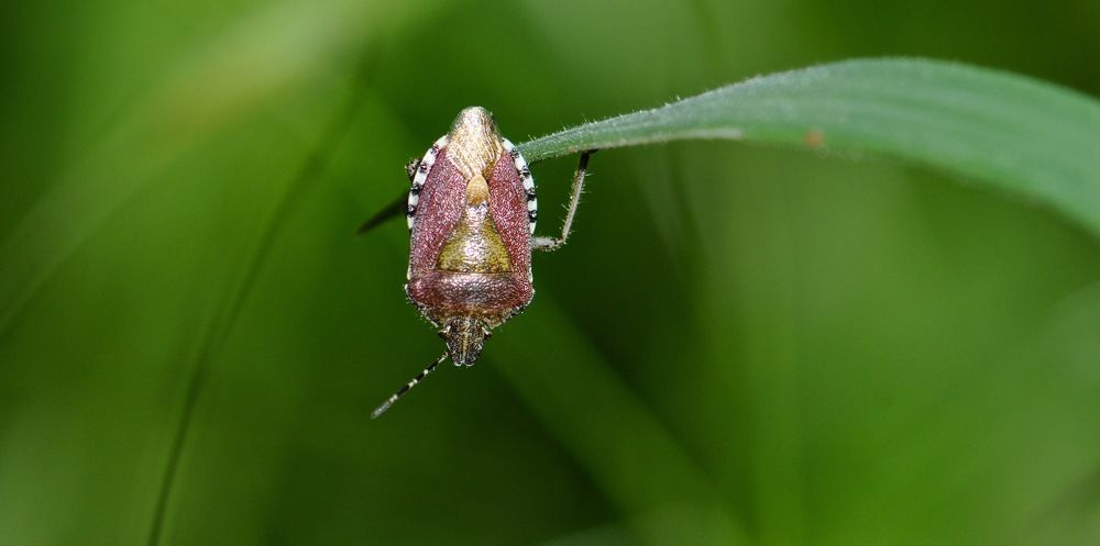 Attention ! Je vais tomber !
