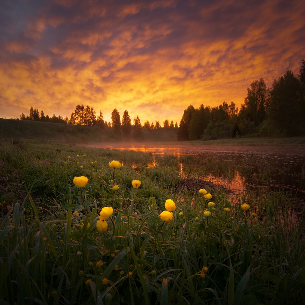 Photograph by Михайлов Иван