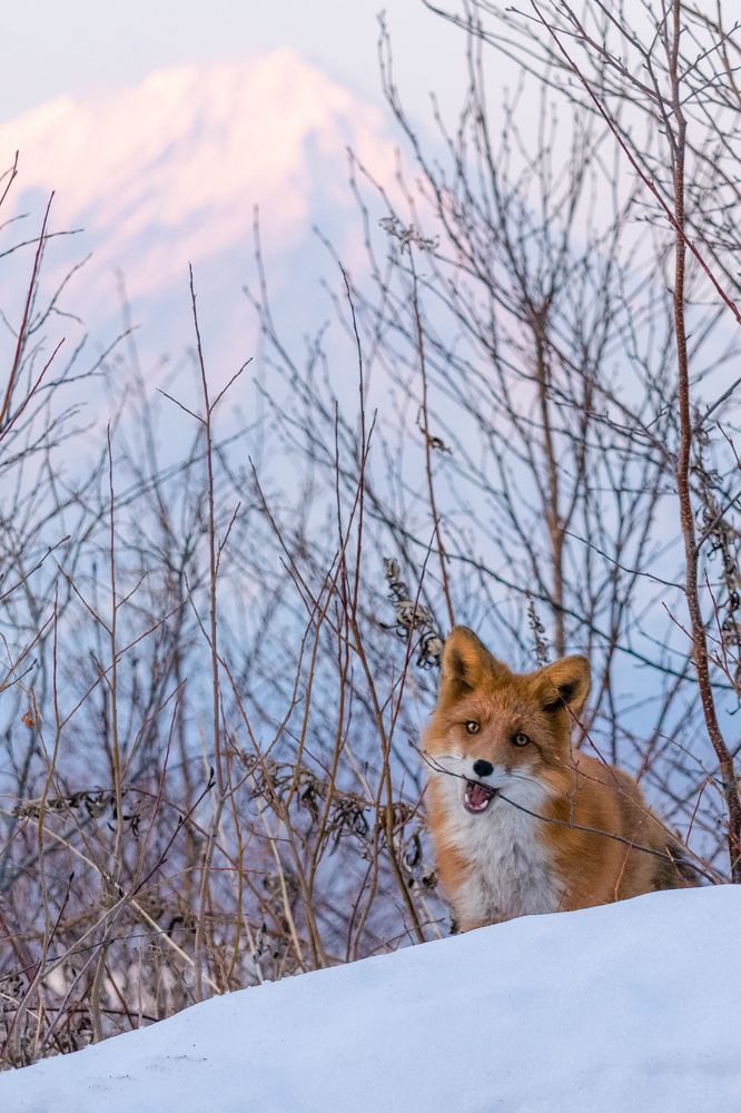 Photograph by Наталья Королева
