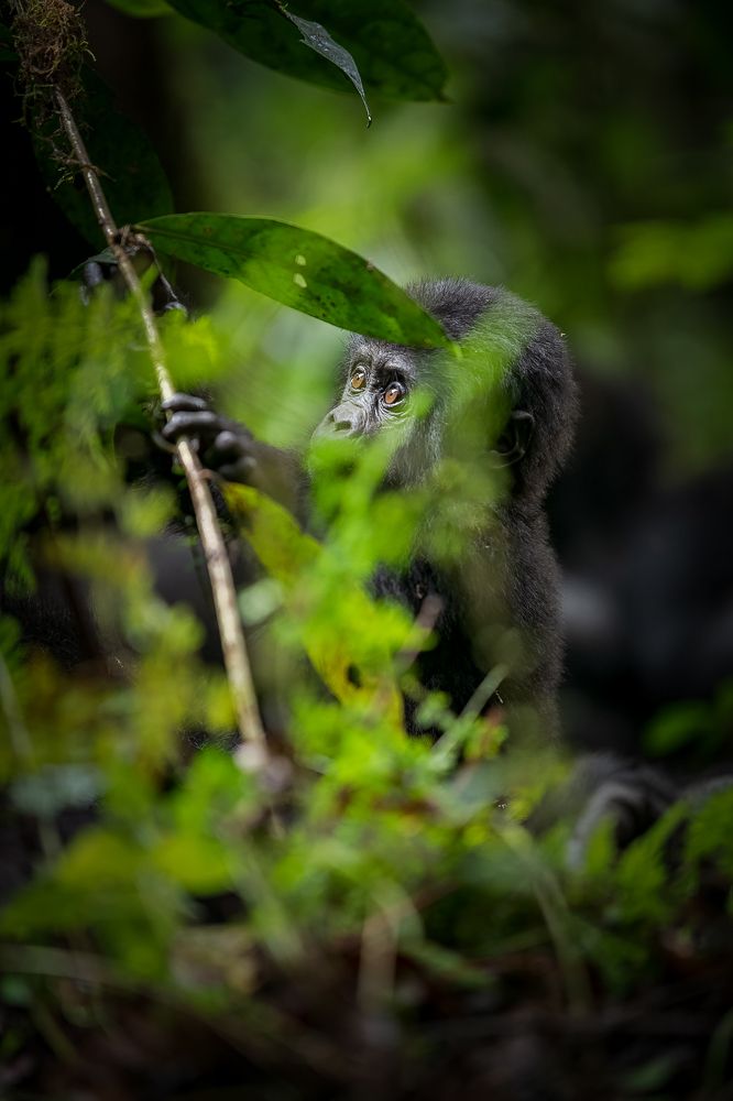 Photograph by Daniel Walther