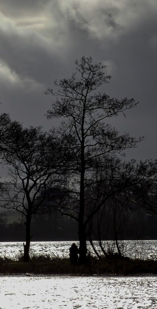 Фотография автора Michael Gault