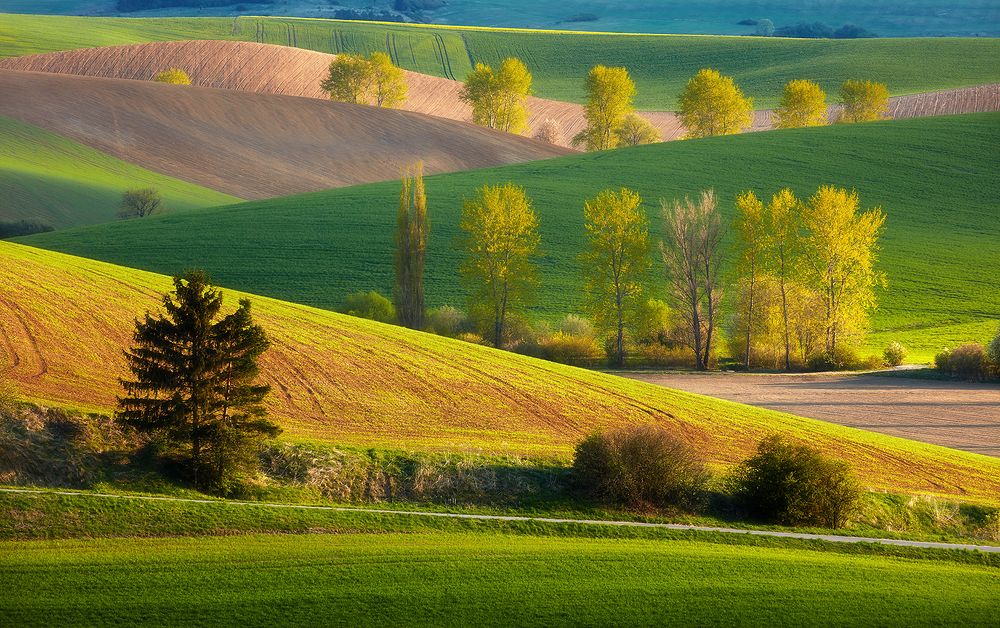 Mystery of Landscape XIII