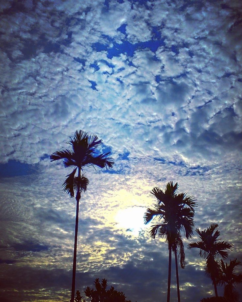 Photograph by Dutta Ankita