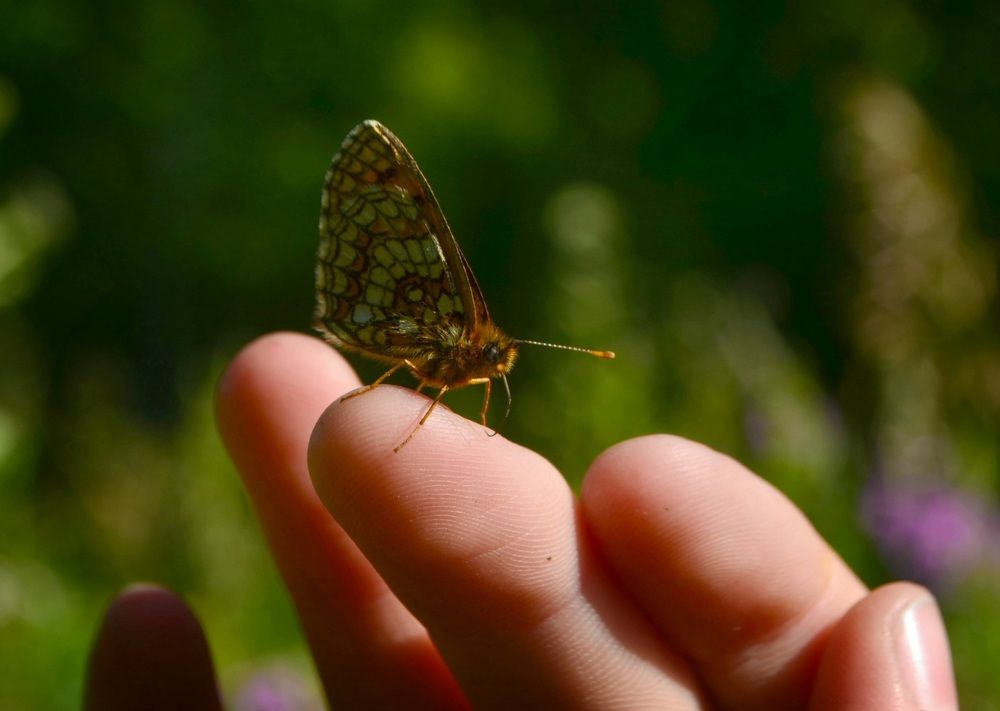 Photograph by Ляйсан