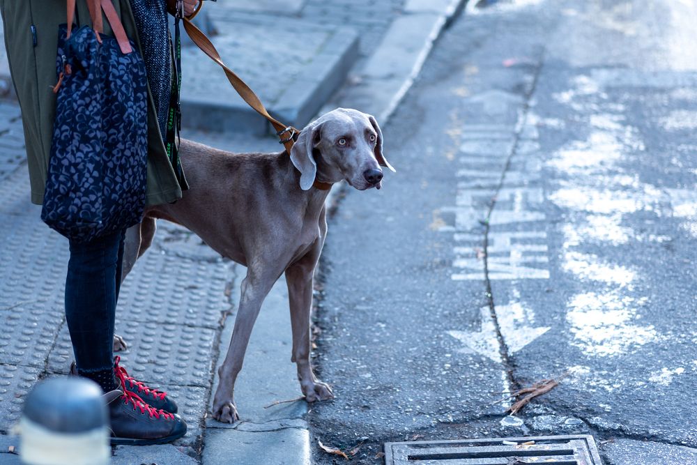 Photograph by  Светослав Радков