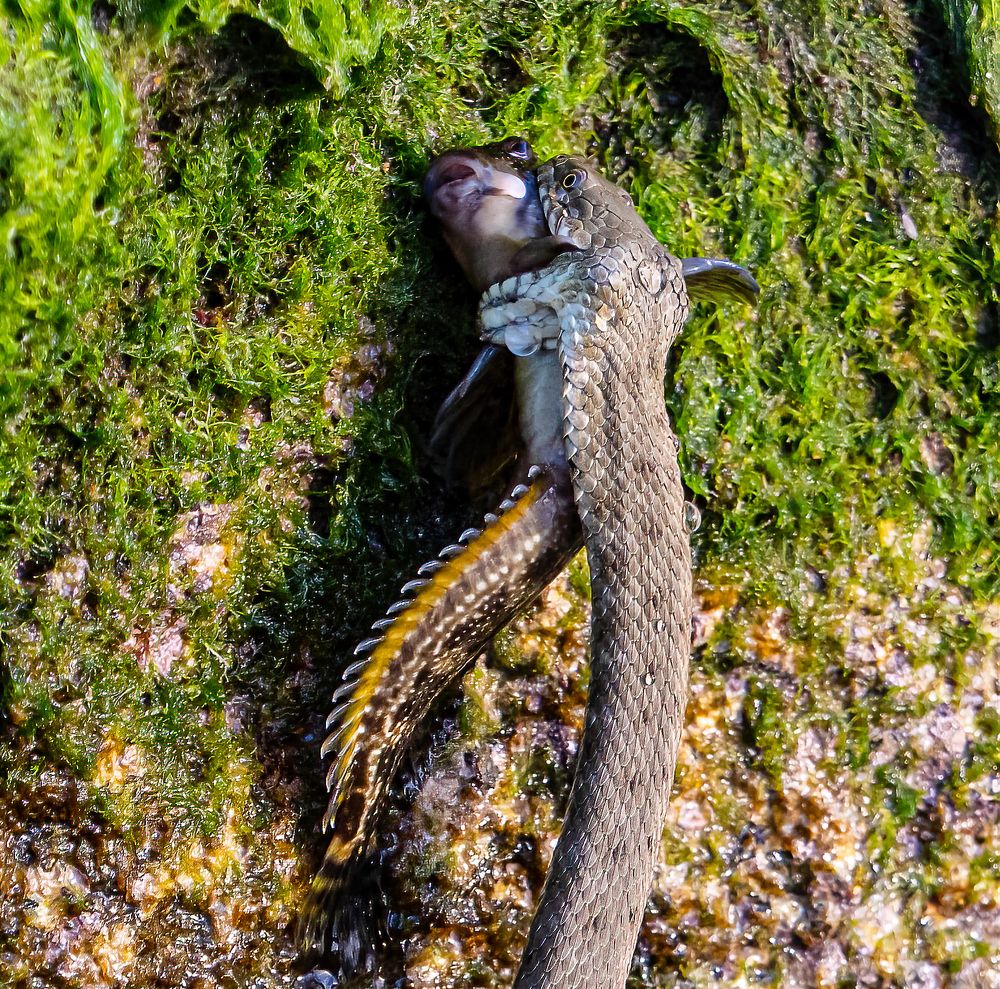 Photograph by Сергей Шишмарин