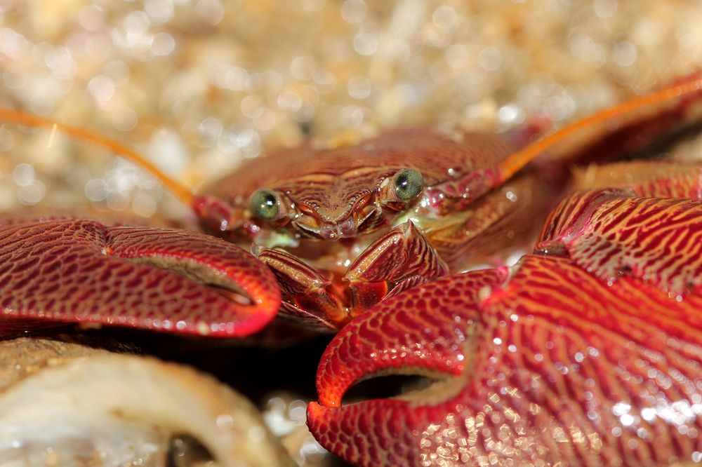 Photograph by Abhishek Nandkishor Neelam Satam