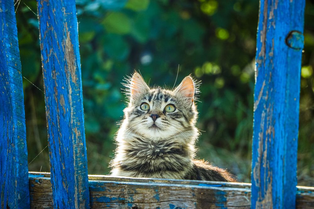 Photograph by Мария