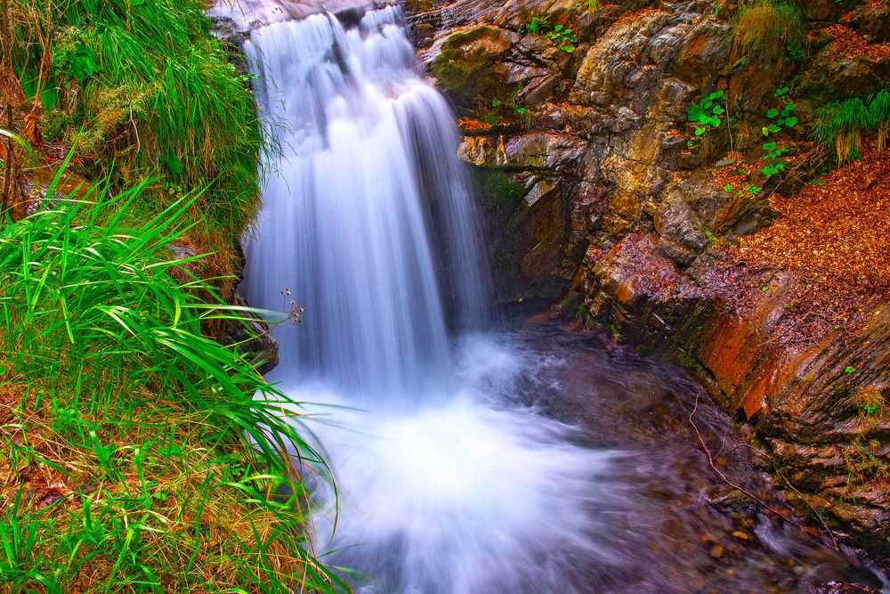 Фотография автора jean-luc