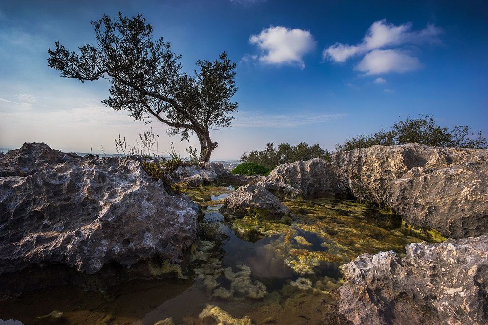 Photograph by Виктория Солодар