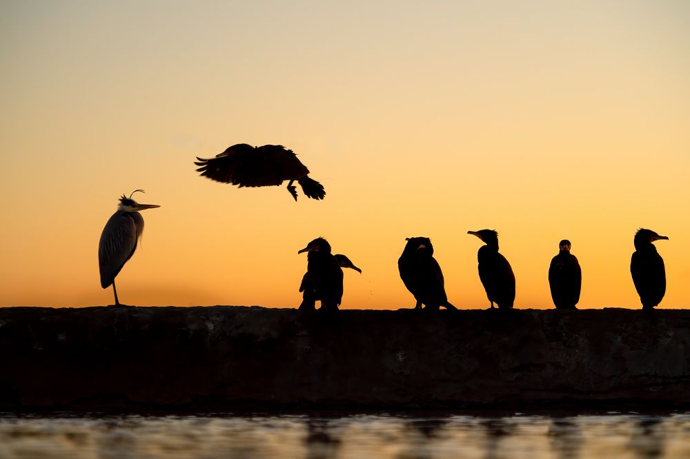 Photograph by Alena Bednarova