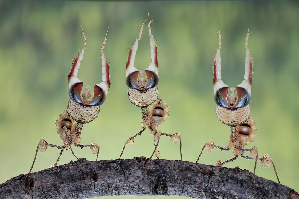 Photograph by way pang