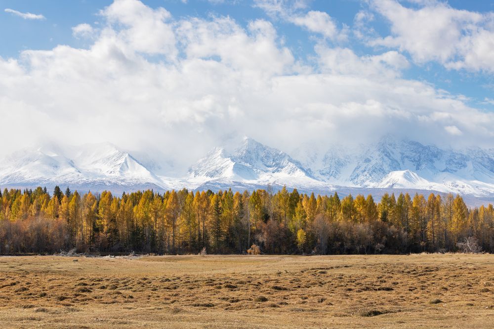 Photograph by Pavel Klishin