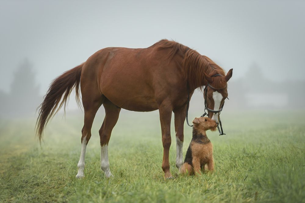 Photograph by Irina Kovaleva