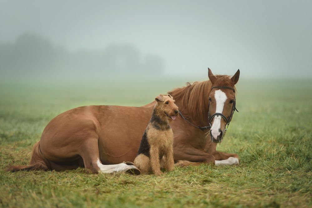 Photograph by Irina Kovaleva