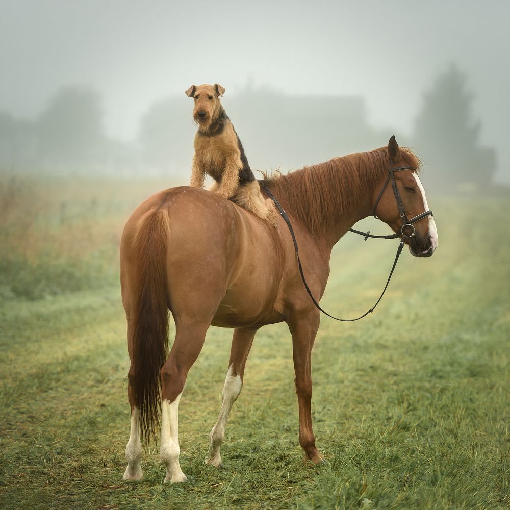 Photograph by Irina Kovaleva