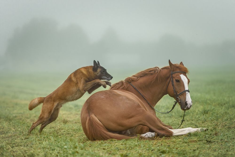 Photograph by Irina Kovaleva