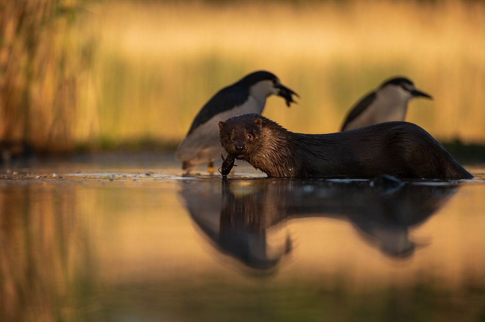 Photograph by Alena Bednarova