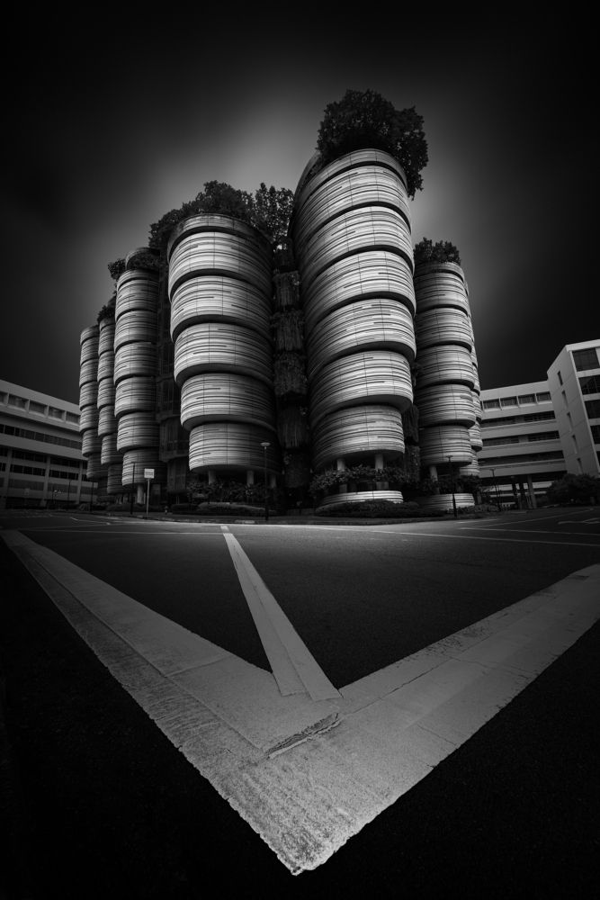 Photograph by Mengguo Li