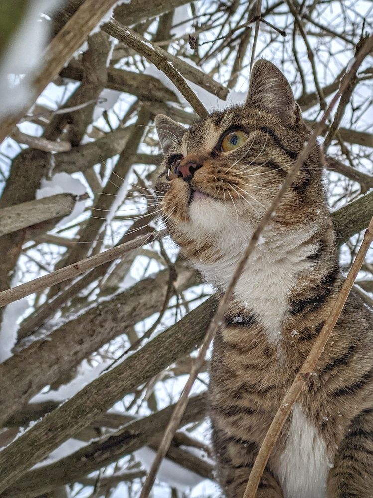 Photograph by Наталья Егорова