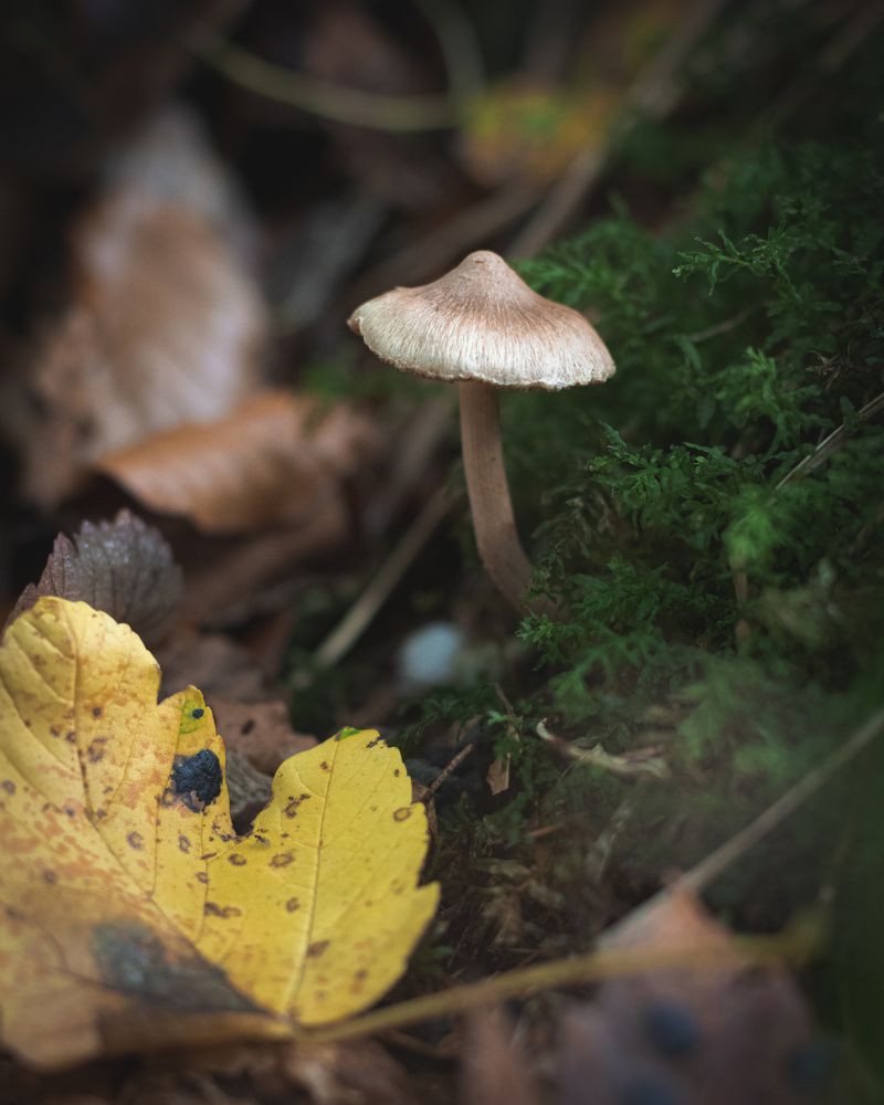 Фотография автора Laura Baratas