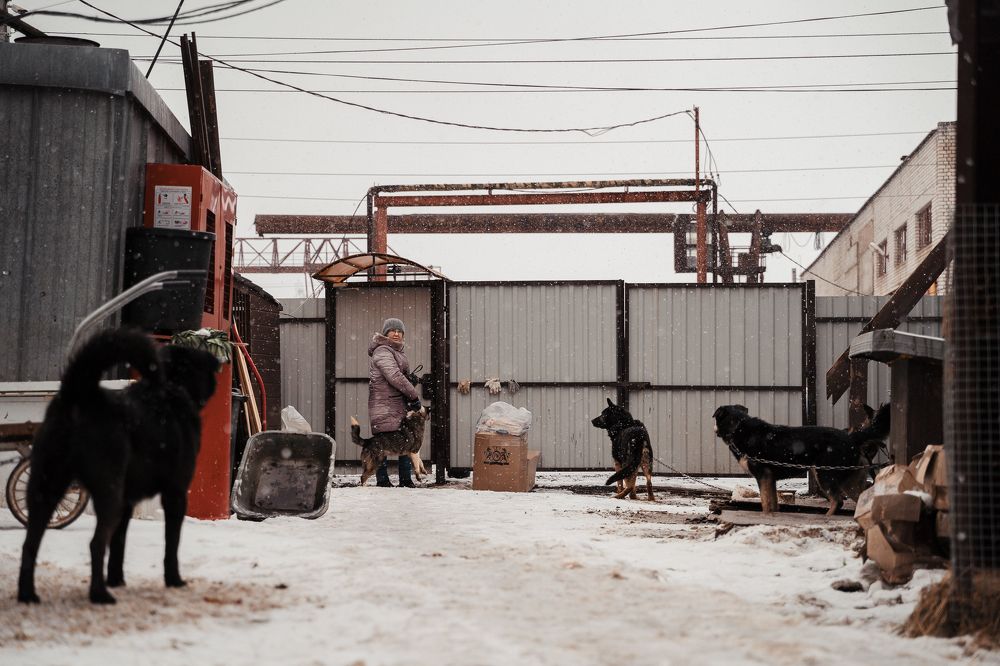 Photograph by Леонид Смирнов