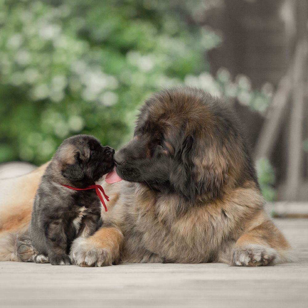 Photograph by Irina Kovaleva