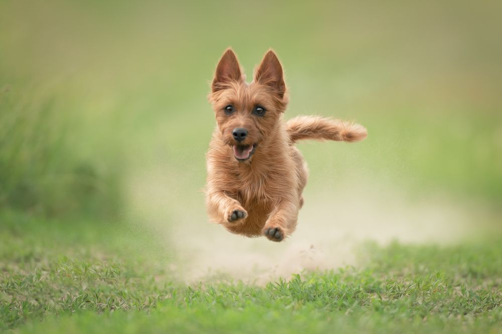 Photograph by Irina Kovaleva