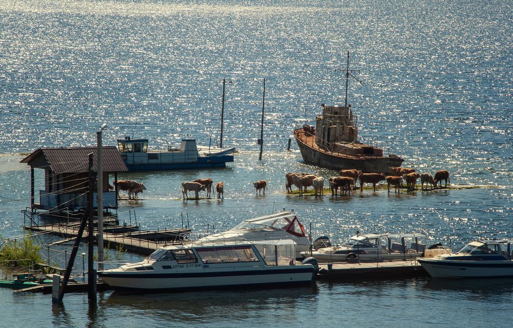 Photograph by Любовь Фурс