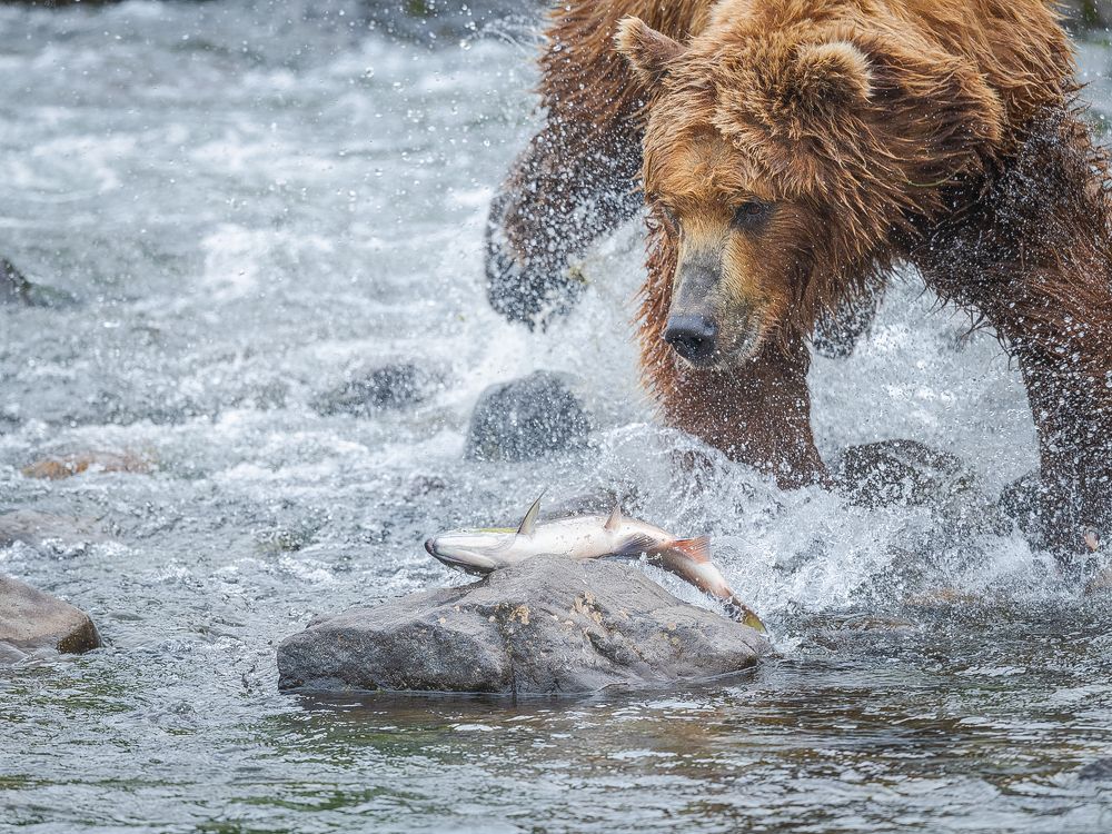 Just a little chance!