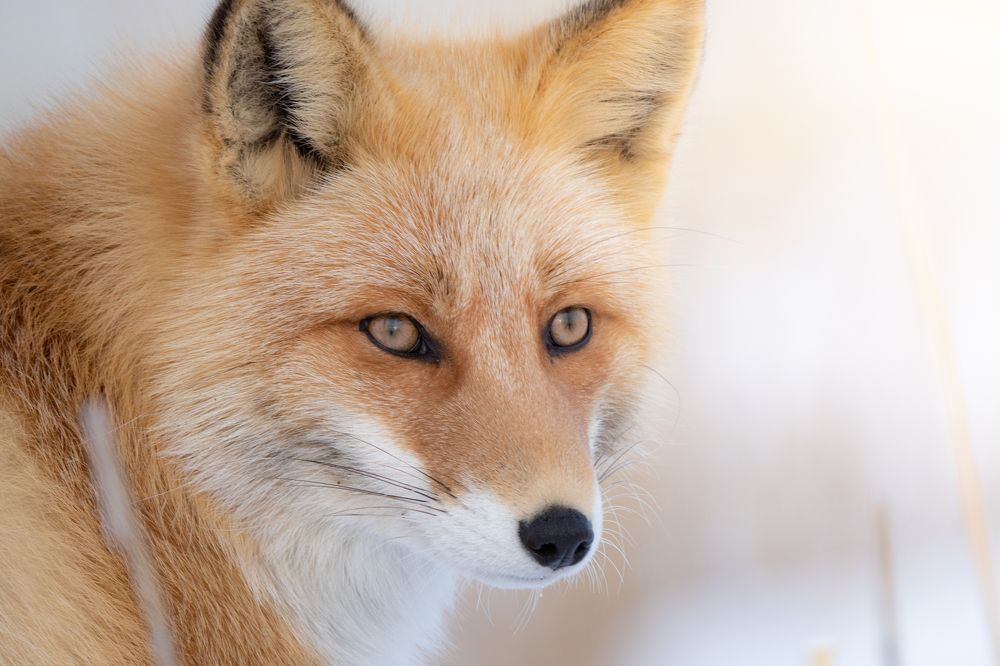 Photograph by shintani yu