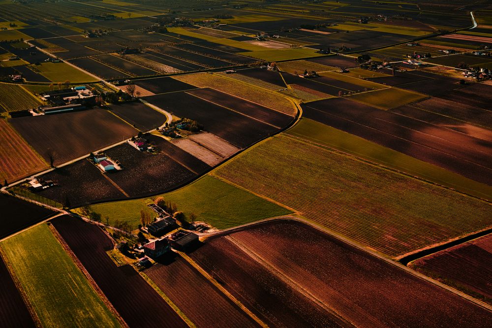 Photograph by Matteo Busetto