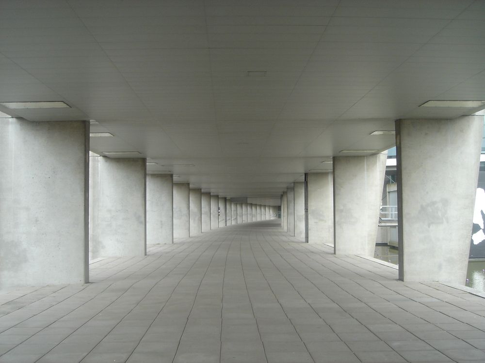 Photograph by Людмила