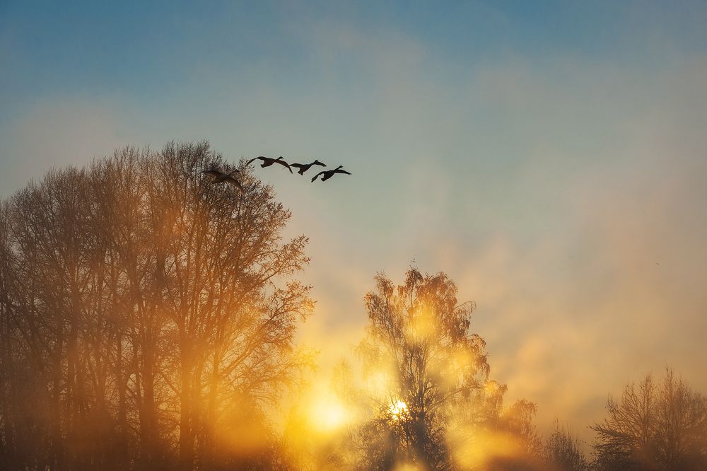 Photograph by Евгений Санин